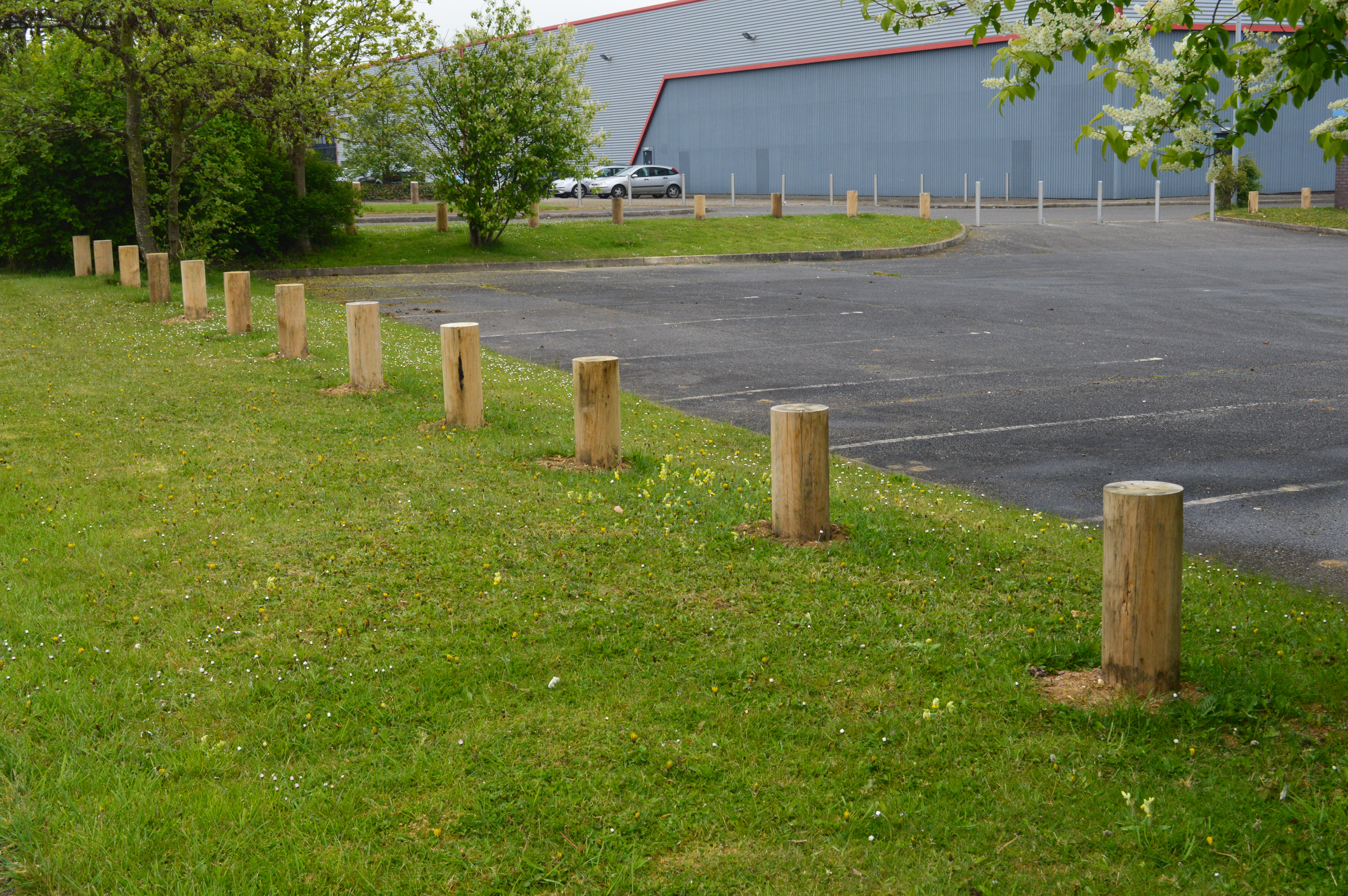 Wooden Bollards